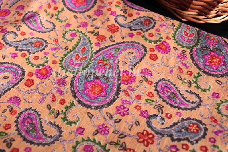 Tara Paisley