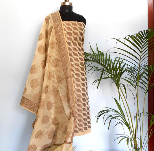 Ruhi rich ivory salwar set - STUDIO PEHEL